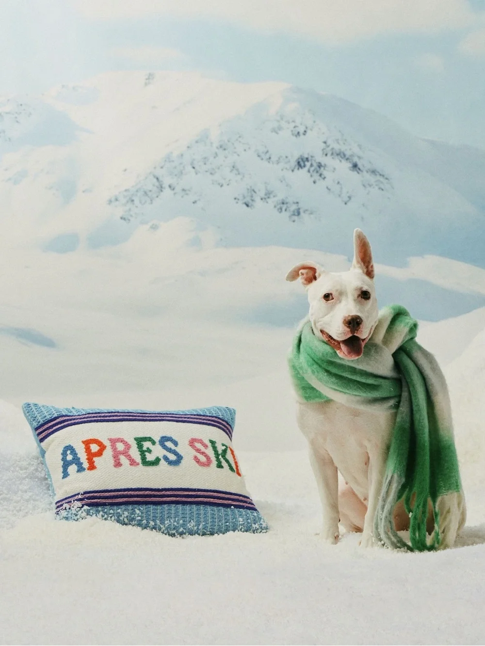NWT Anthropologie Alden Embroidered Cotton Pillow in Apres Ski